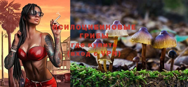стафф Алапаевск
