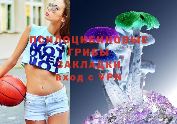 стафф Алапаевск